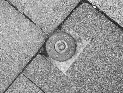 Survey point