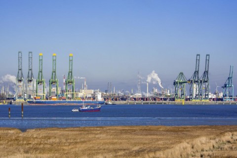 Harbor cranes and container ship docked in the Antwerp harbour