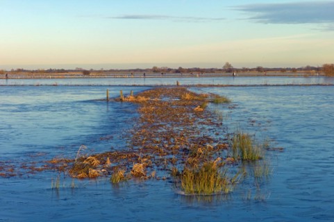 Flooded nature reserve Breites Wasser near Worpswede