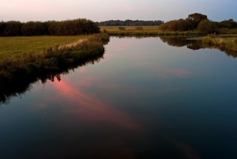 Evening atmosphere in the Breites Wasser nature reserve