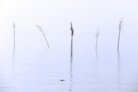Priggen at the entrance of the Wremertief sieve harbour