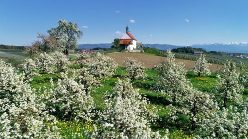 St Anthony's Chapel in Selmnau on Lake Constance