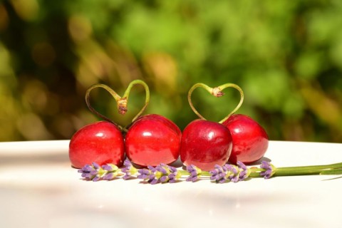 Sour cherry