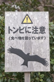 Beware of Kites sign