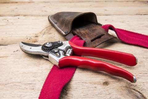 Secateurs Felco no 2