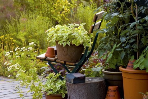 Farmhouse Kitchen Garden Folding Chair