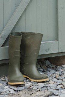 Pair of green wellington boots outside a garden shed