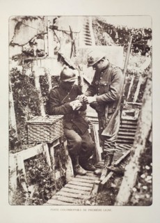 Soldiers in trench fitting messages on carrier pigeons in Flanders during the First World War