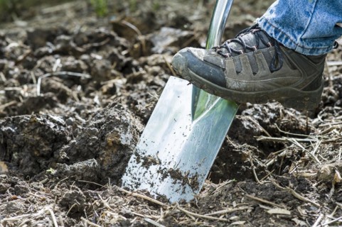 Preparing a garden bed