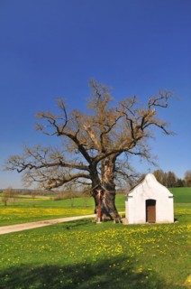 Chapel of St Anthony in Haselbach