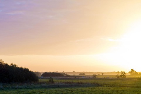 Sunrise in the Breites Wasser nature reserve