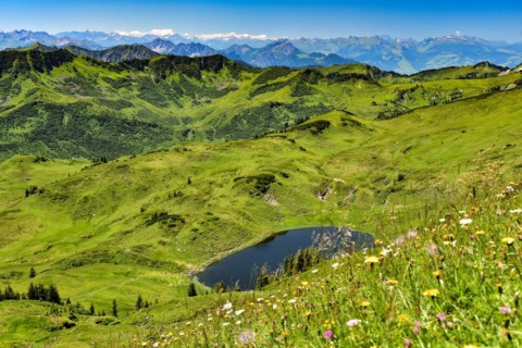 View of Lake Suenser in the Damuelser Mountains in the Bregenzerwald