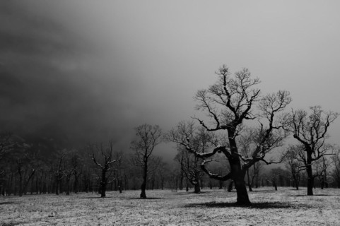 Winter onset