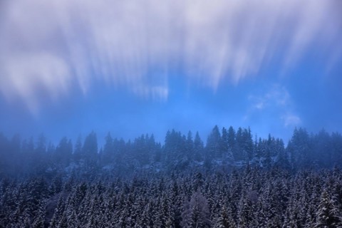 The sun breaks through the high fog at the Riedberg Pass near Obermaiselstein in Allgaeu