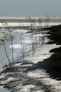 Spieka Neufeld in the district of Cuxhaven