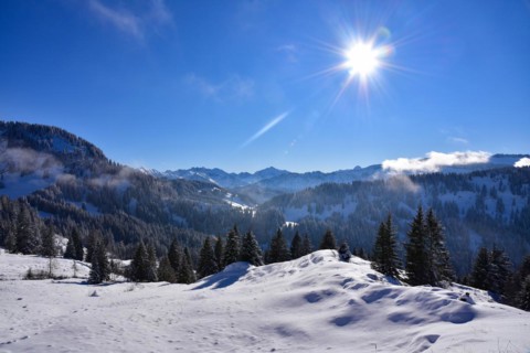 View from the Mittelalpe above the Riedberg Pass into the Kleinwalstertal Mountains