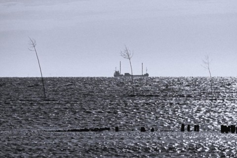 Bank reinforcement and two prigs at the harbour entrance of Spieka Neufeld