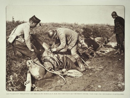 Soldiers butchering dead horses for the meat after bombardment in Flanders during the First World War