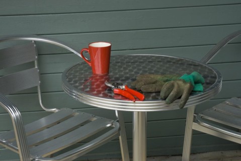Secateurs and garden gloves