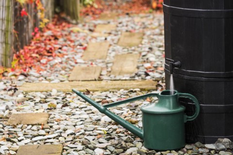 Water butt and green watering can