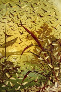Insects