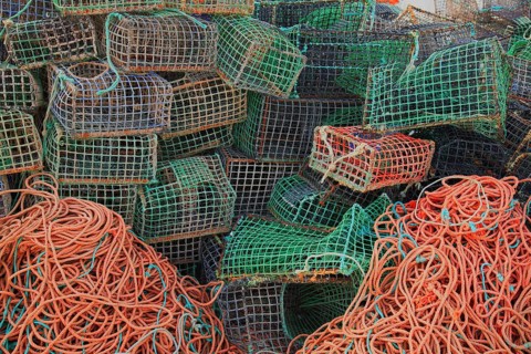 Lobster cages