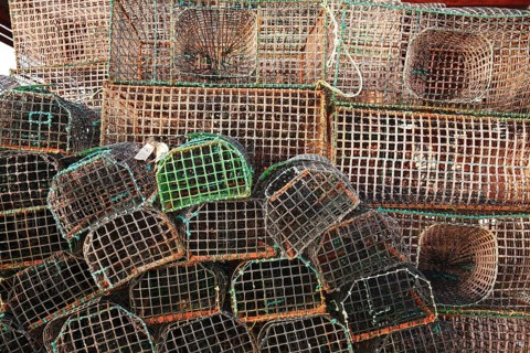 Lobster cages