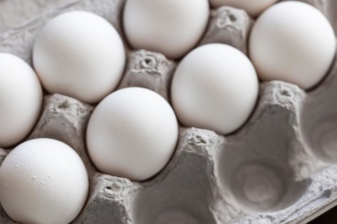 Carton of white chicken eggs