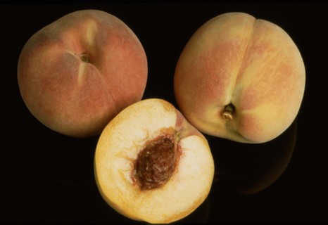Peaches