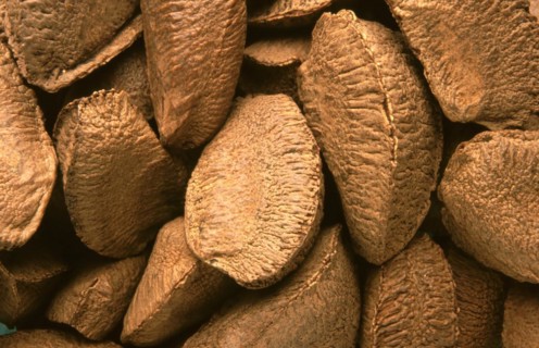 Brazil nuts