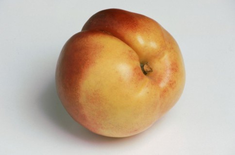 Nectarines