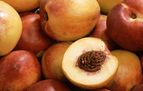 Nectarines