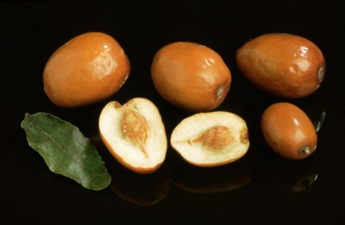Jujube Mill
