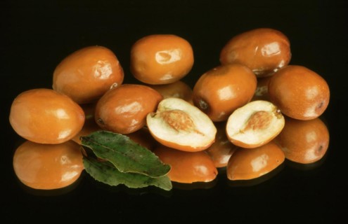 Jujube Mill