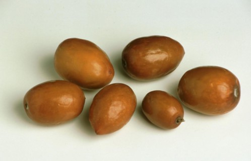 Jujube Mill