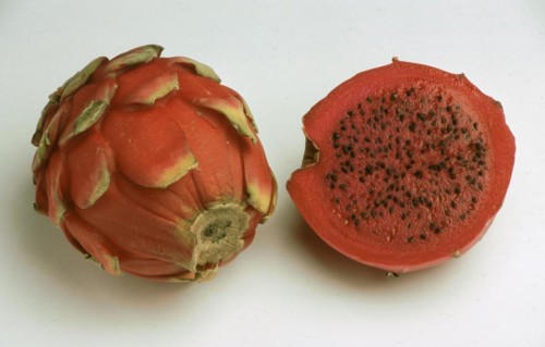 Exotic fruits: Vietnamese dragon fruit