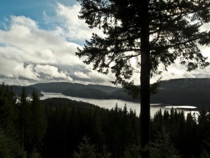 View of Schluchsee from Bildstein
