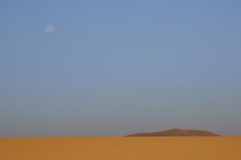 Ochre sand desert
