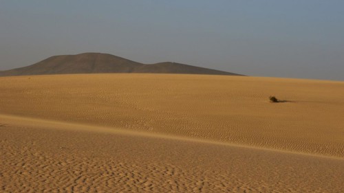 Sand desert with wave pattern