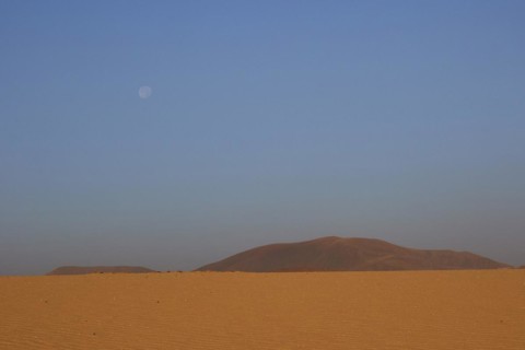 Ochre sand desert