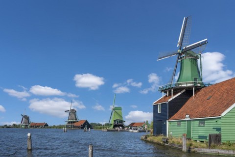 Rural scene with historic windmills in the Zaanse Schans open-air museum