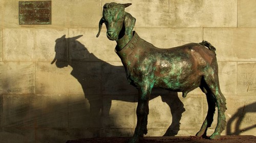 Bronze statue of a goat