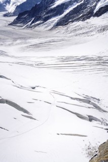 Alpine glacier hikers hike through the snow and ice