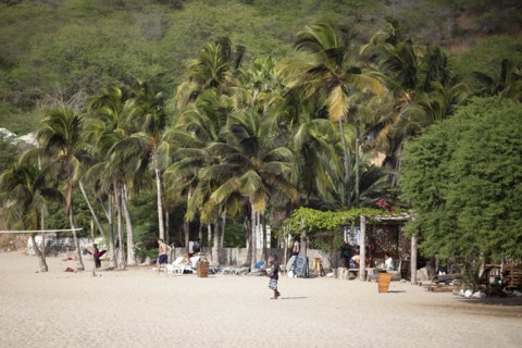 Coconut palms on the beach or Praia Areia Branca