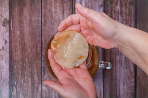 A woman holds in her hands a kombucha mushroom