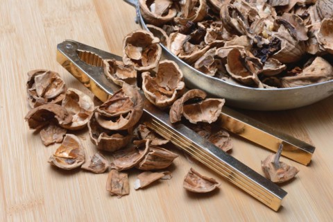 Persian walnut