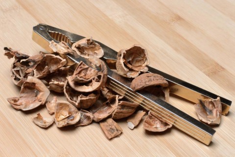 Persian walnut