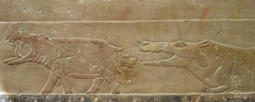 Relief