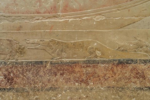 Relief