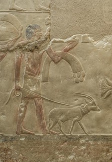 Farmer with goat